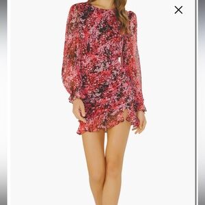 Lush floral mini dress